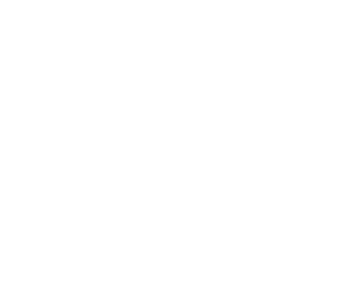 Rumen Express